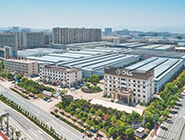 發(fā)展至今 觀斑而知豹 看業便知實